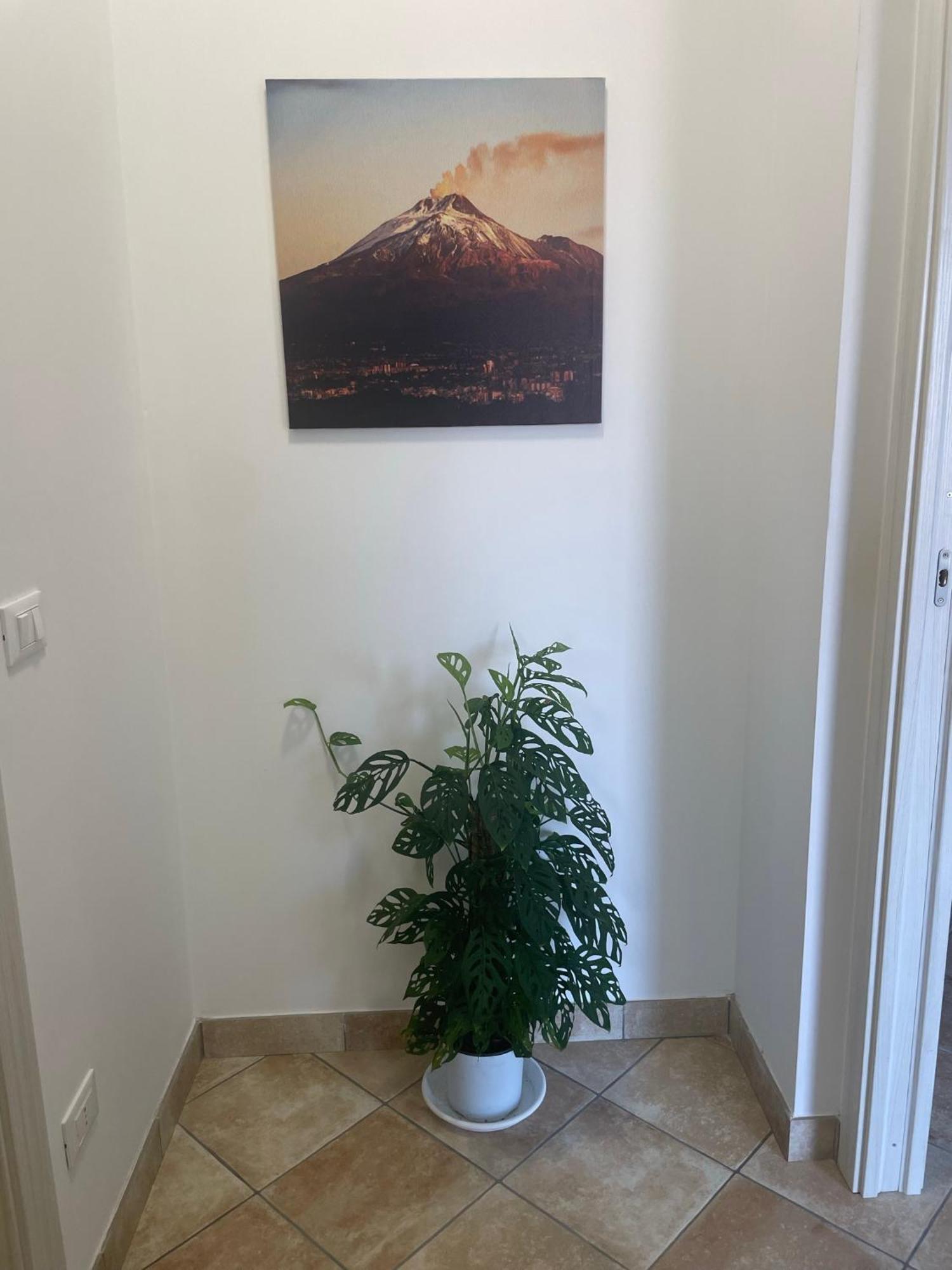 Maison De Cheeramie - Tourist Apartments Tra Mare E Etna Маскали Экстерьер фото